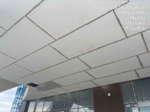 TTTM Linc Park City6