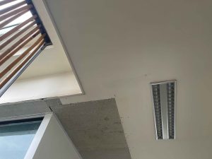 trường Quốc Tế Lycée Français Alexandre Yersin7